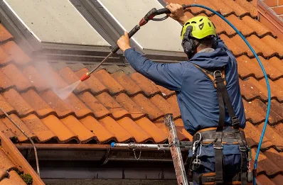 Démoussage et hydrofuge de toiture à Tartiers